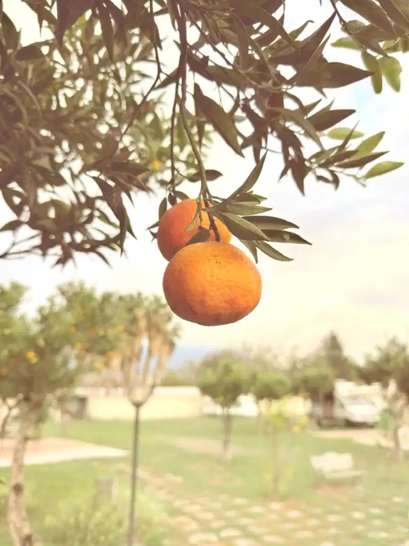 Adventure planning with compass and map