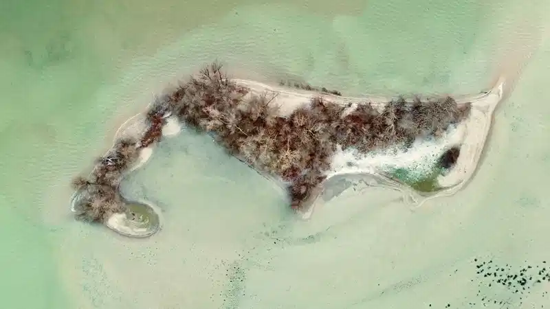 Nature photography subject